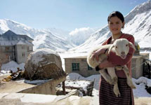 Leh Ladakh 8 Days Tour