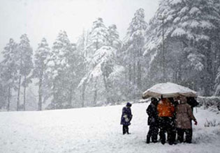 Jannat - E - Kashmir Tour