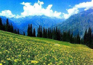 Simply Kashmir